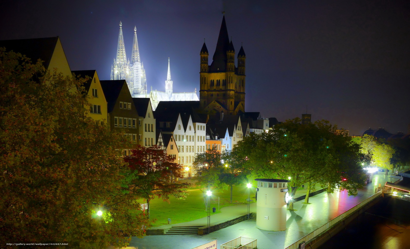 Cologne at night with cathedral