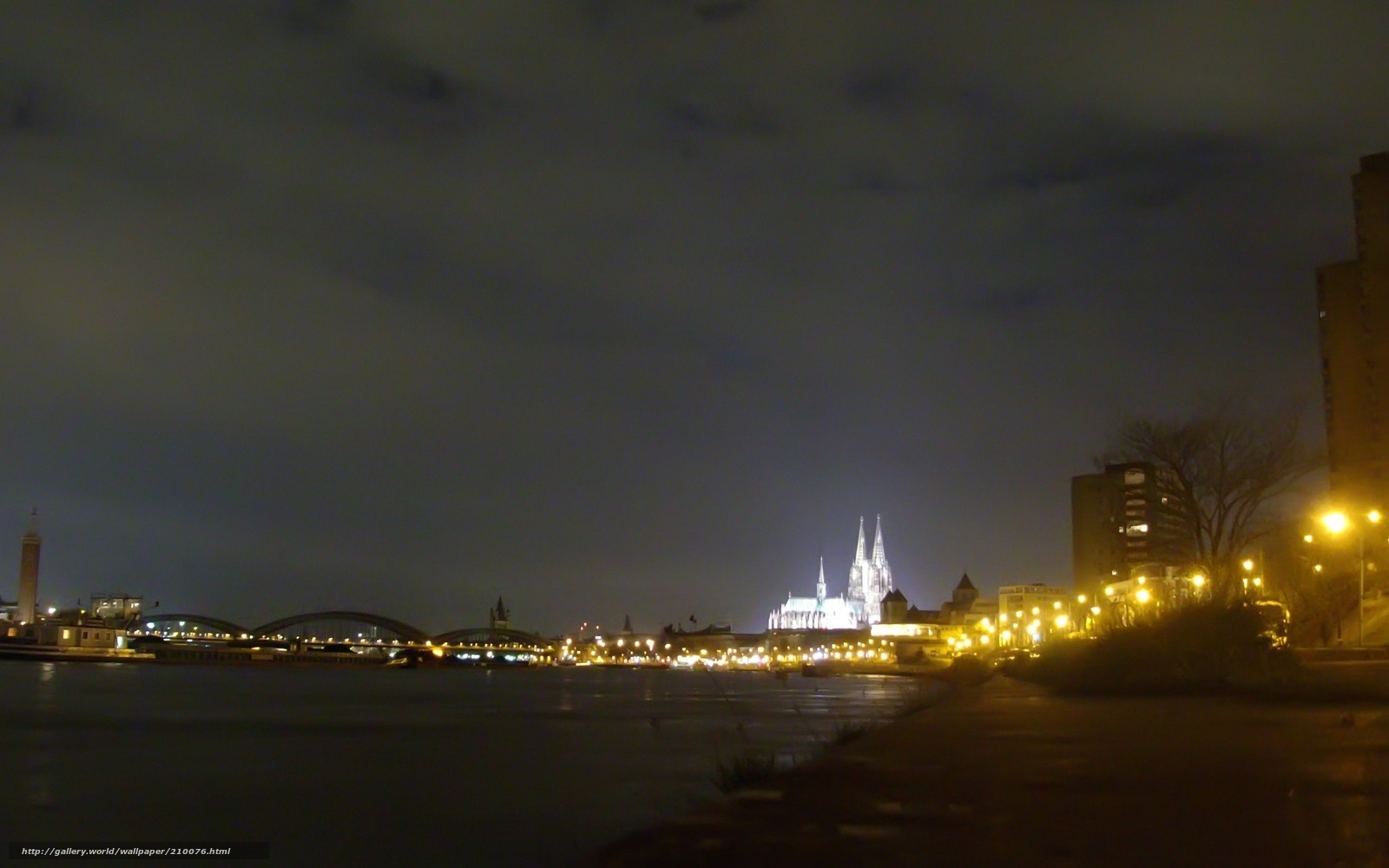 Cologne at night