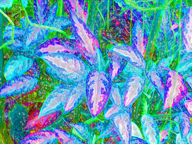 Color-altered Plant Leaves