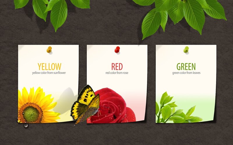 Color cards with flowers and butterfly