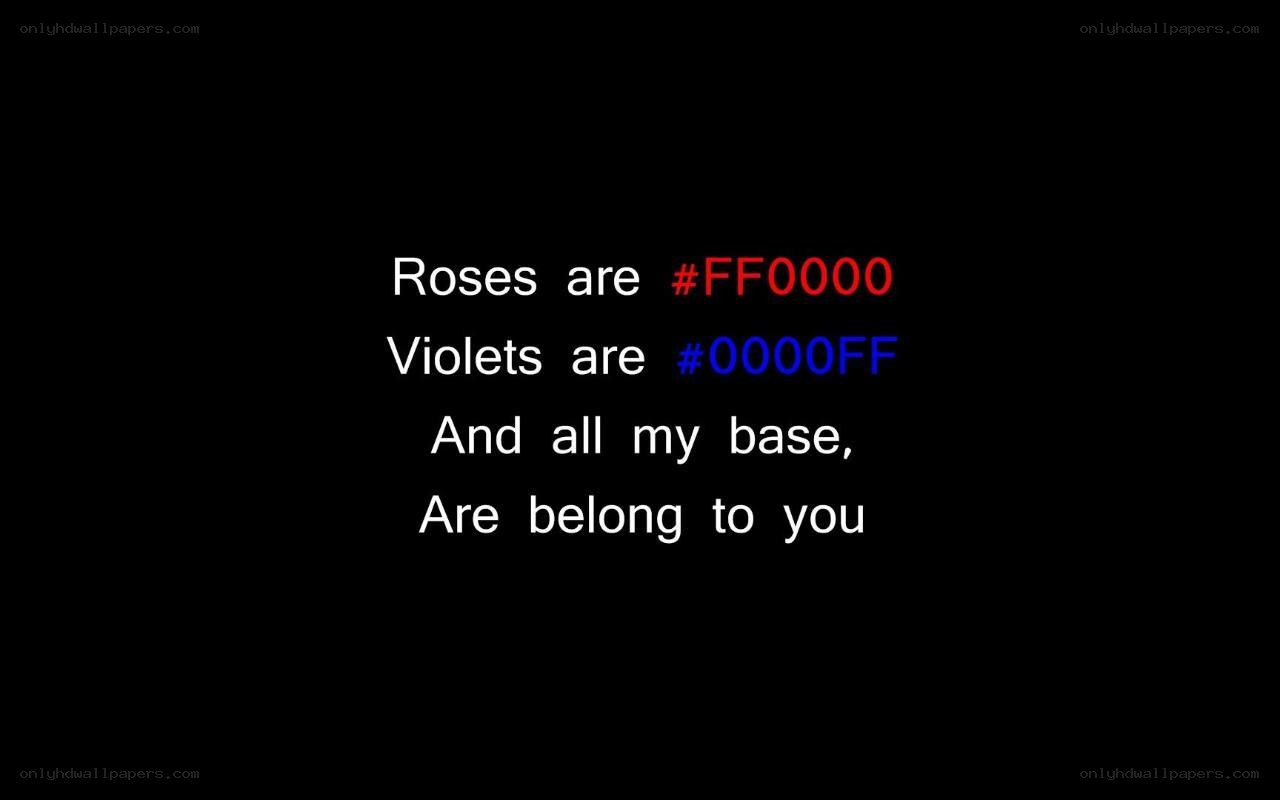 color code poem
