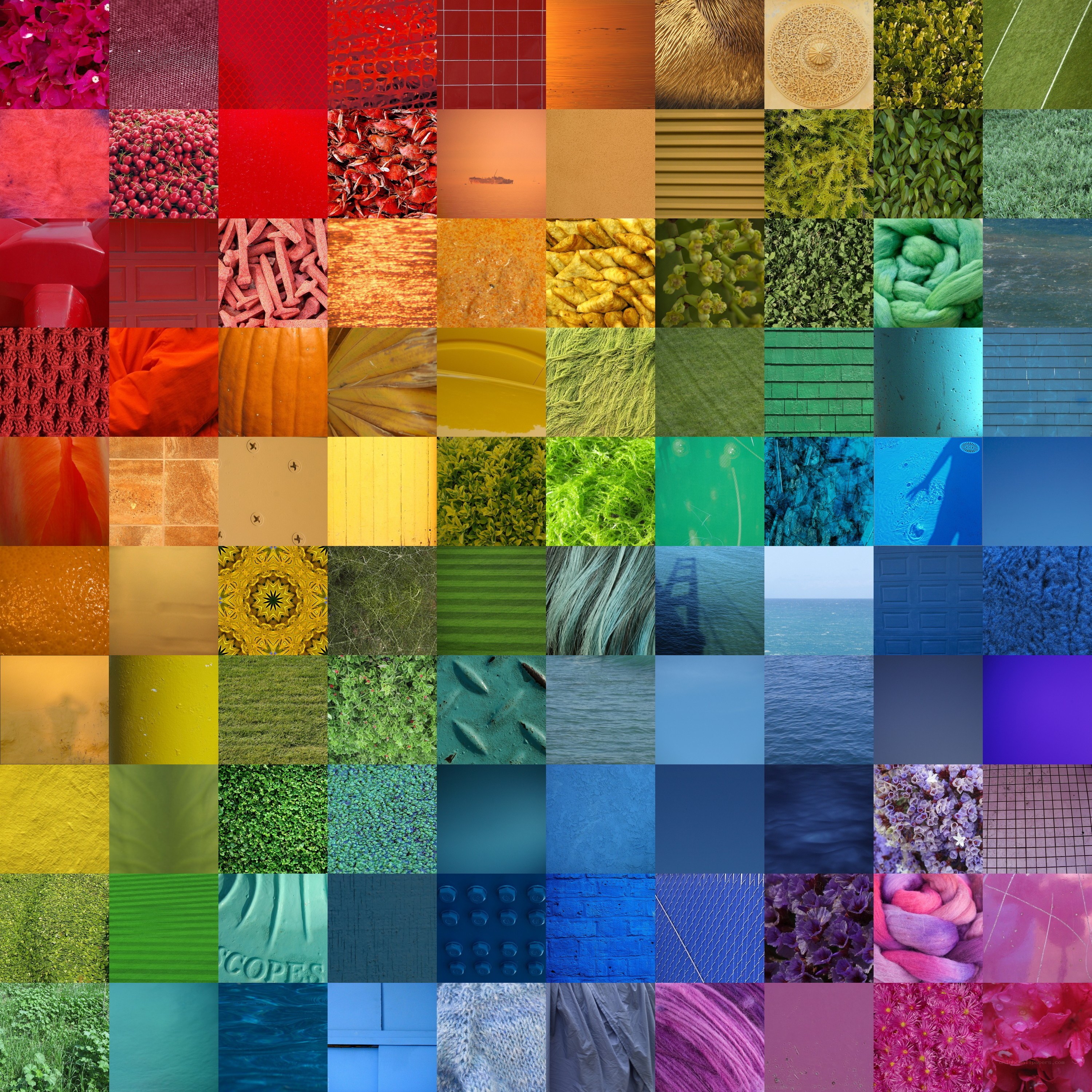 Color grid collage