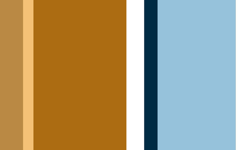 color palette with brown and blue tones