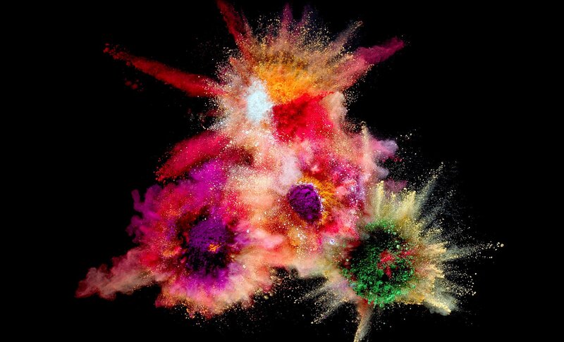 Color Powder Explosion — Red
