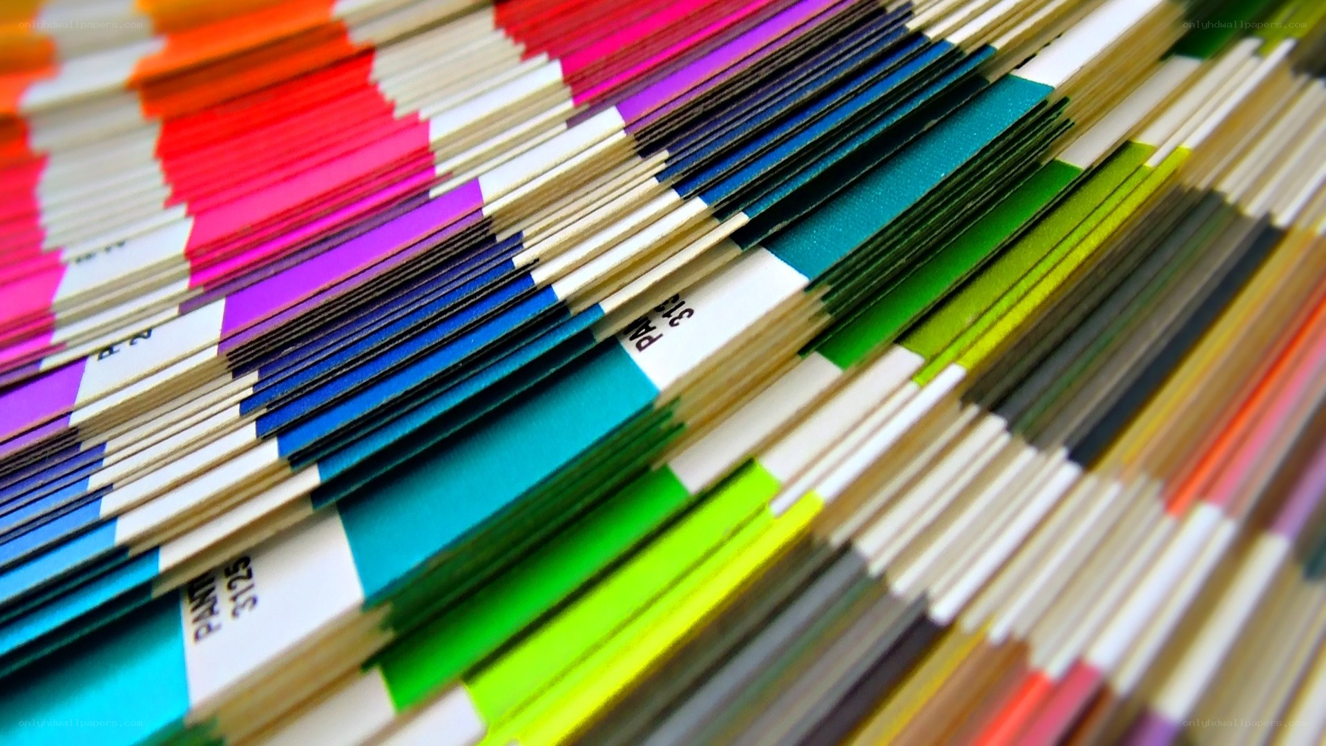 color swatch collection