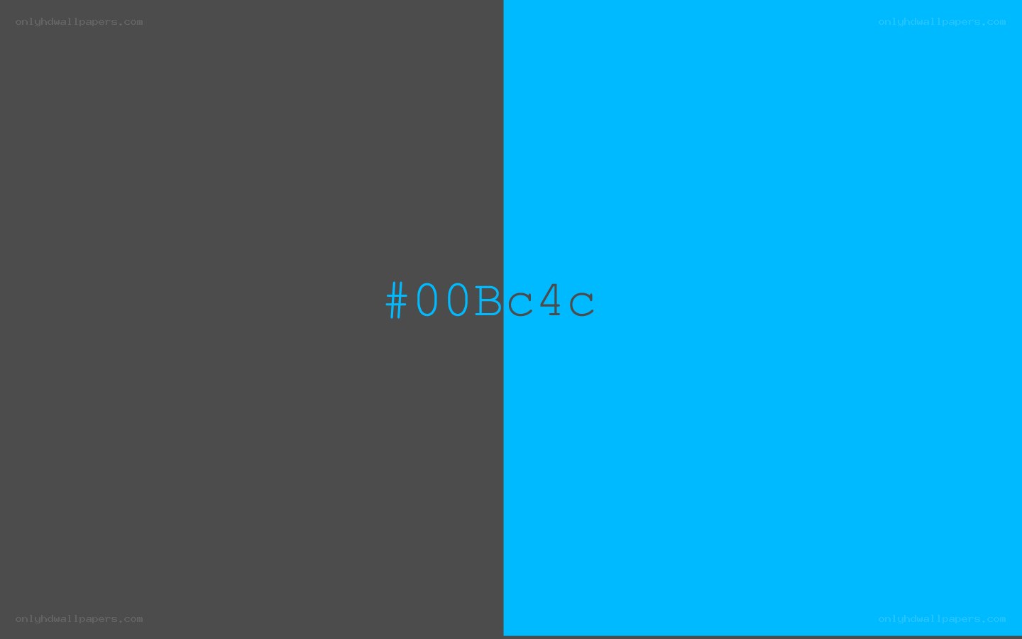 color swatch with hex code