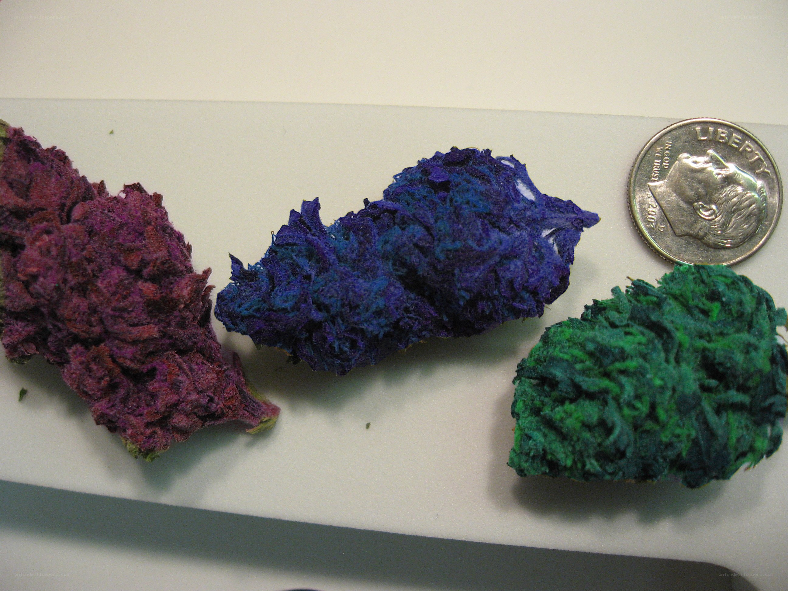 Colored cannabis buds with quarter