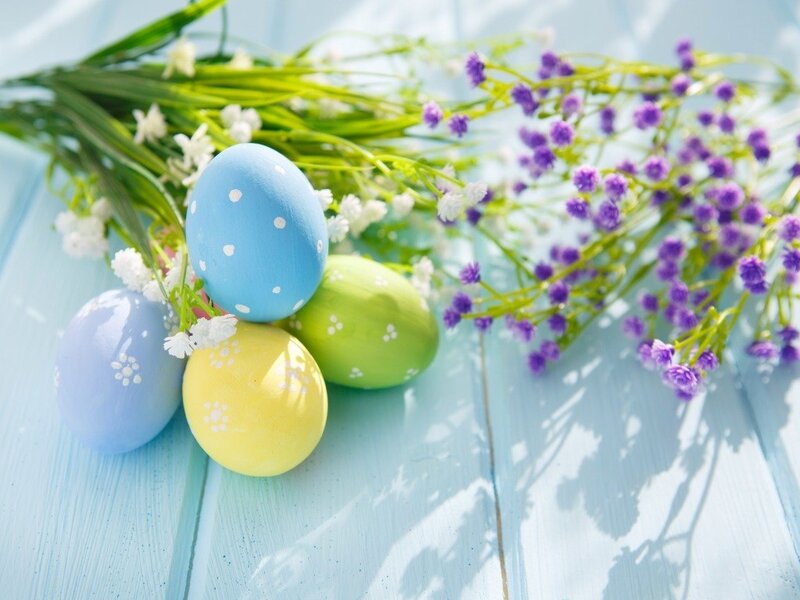 Colored Easter Eggs — Blue, Festive, Spring, Photograph, Flowers