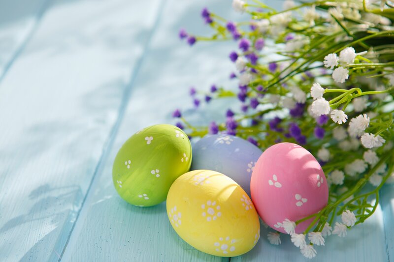 Colored Easter Eggs — Blue, Festive, Spring, Photograph