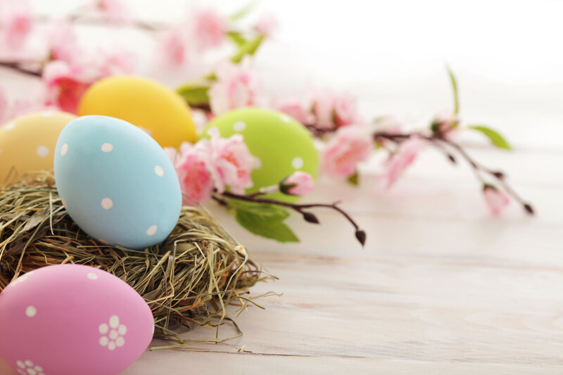 Colored Easter Eggs — Pastel, Serene