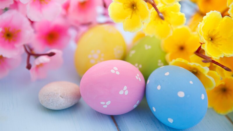 Colored Easter Eggs — Pink, Festive, Spring