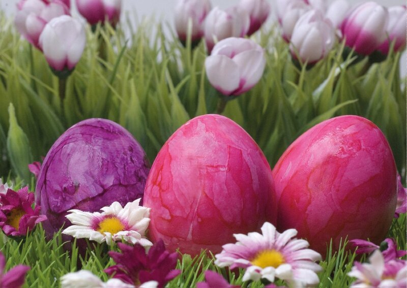 Colored Easter Eggs — Pink, Festive