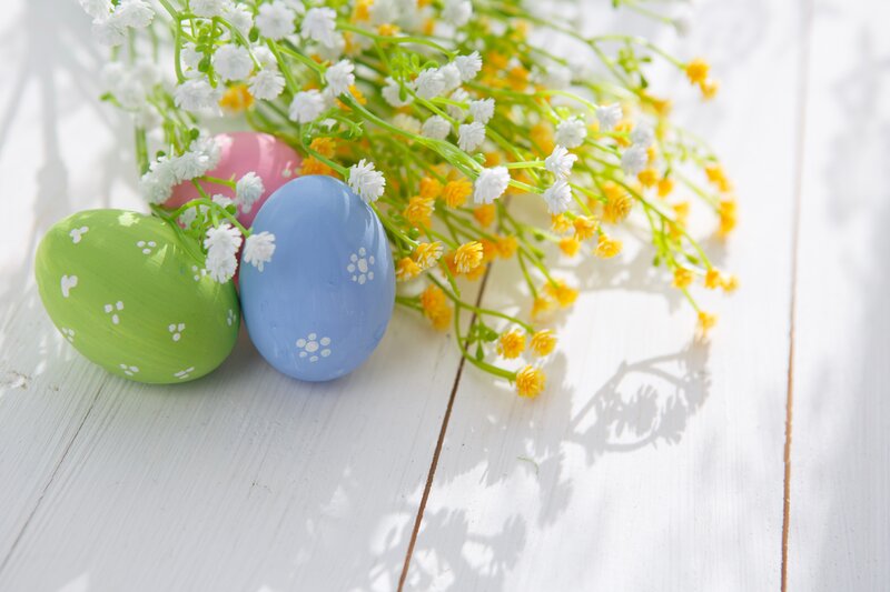 Colored Easter Eggs — White, Serene