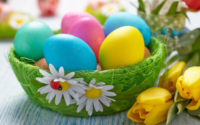 Colored Easter Eggs — Yellow, Festive, Spring, Photograph