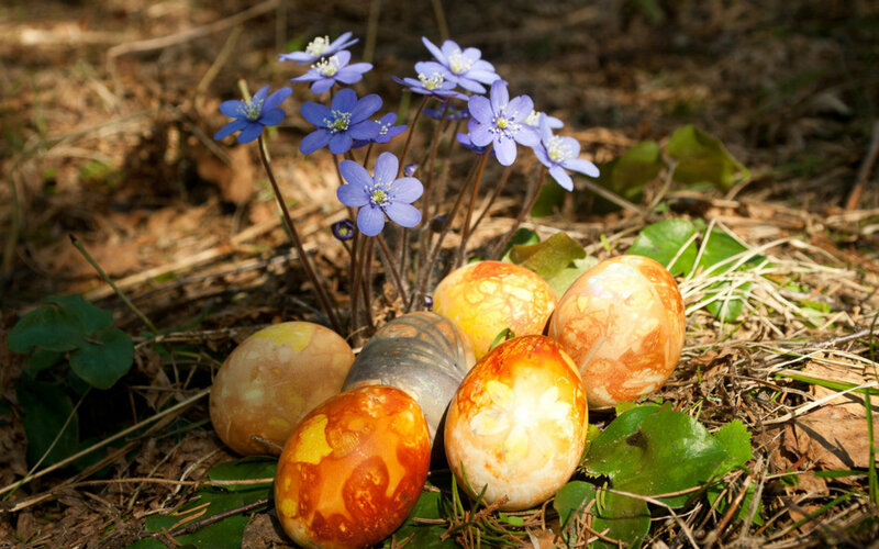 Colored Eggs and Flowers — Blue