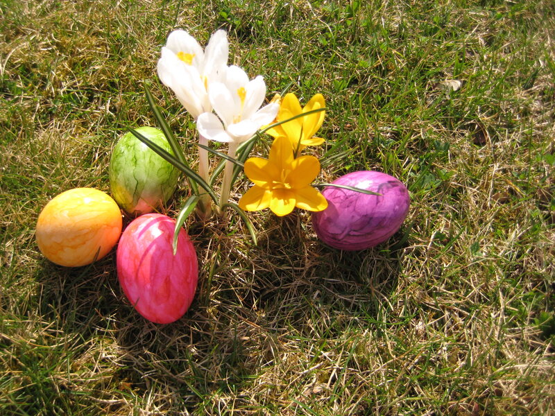 Colored Eggs and Flowers