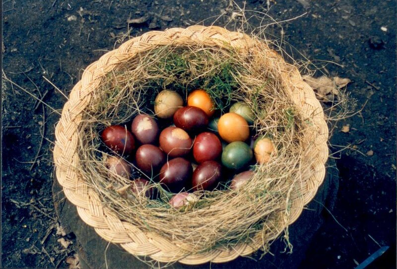 Colored Eggs in Basket — Brown, Natural