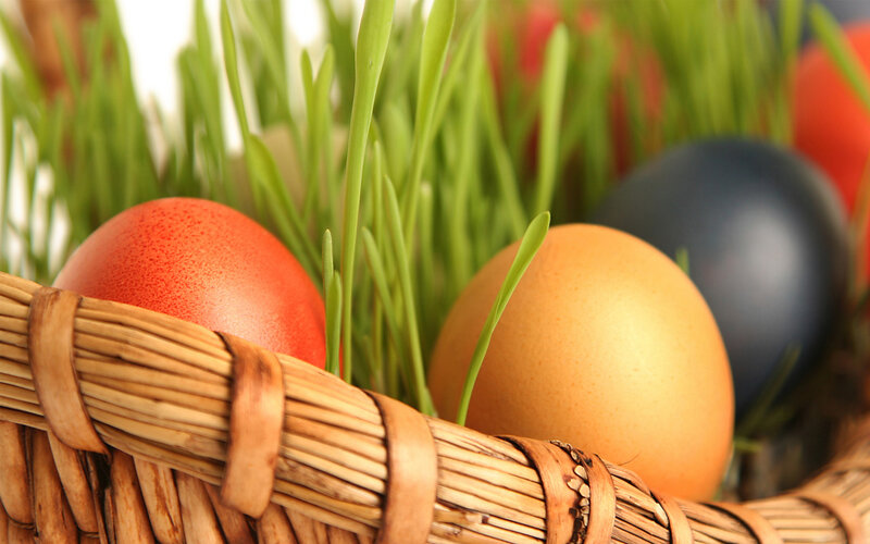 Colored Eggs in Basket — Green, Calm