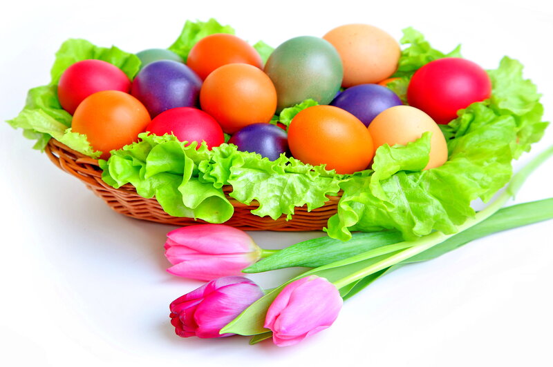 Colored Eggs in Basket — Green, Festive