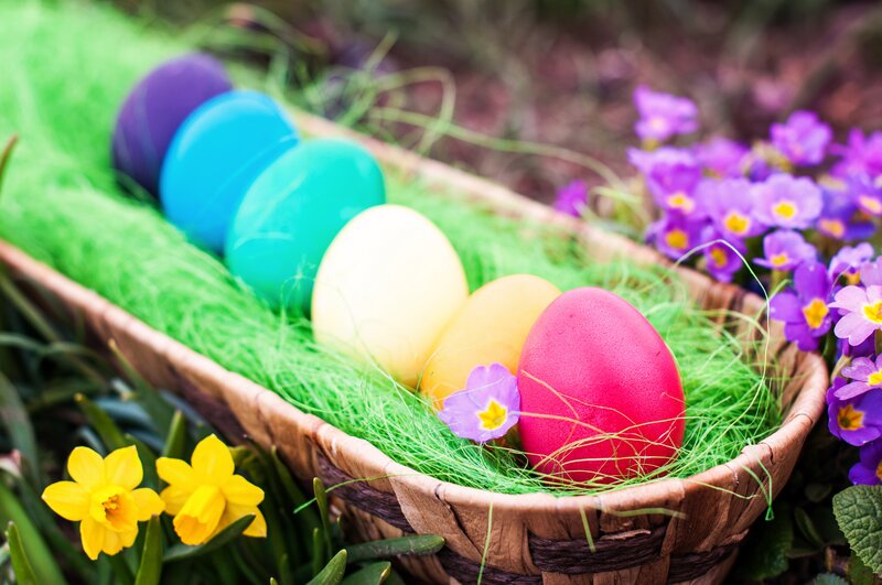 Colored Eggs in Basket — Green