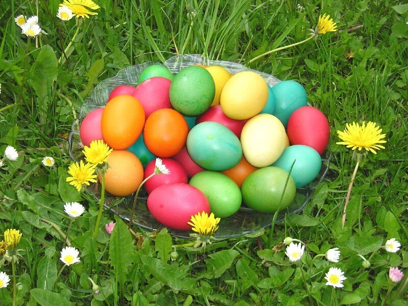 Colored Eggs in Bowl