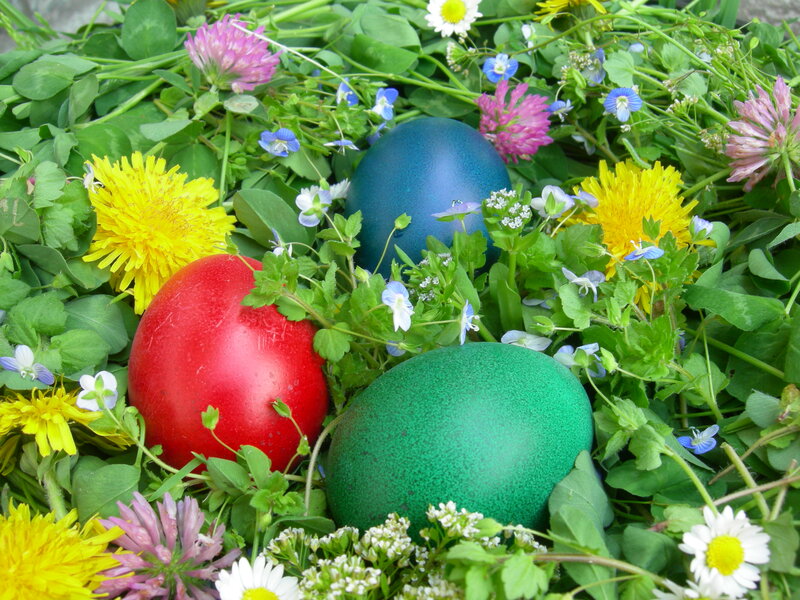 Colored Eggs in Flowers