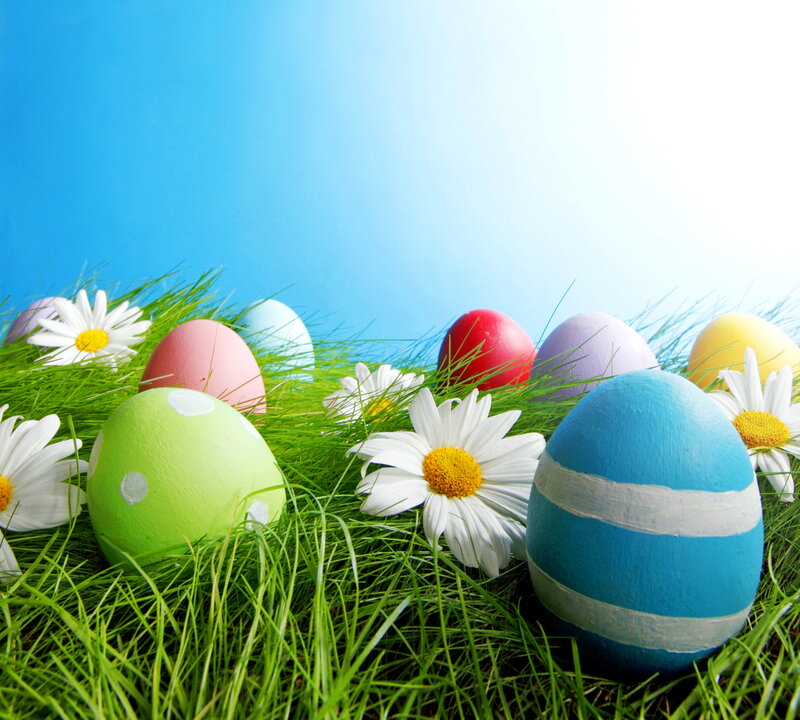 Colored Eggs in Grass — Green, Cheerful