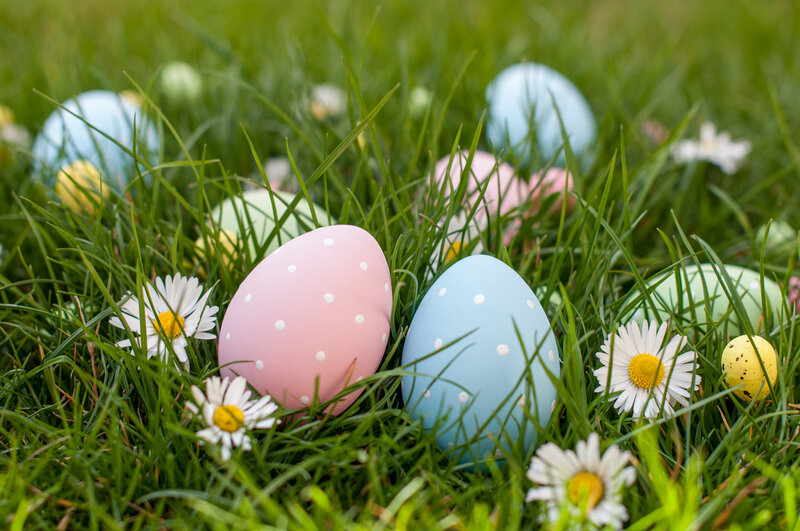 Colored Eggs in Grass — Green, Festive, Spring, Photograph