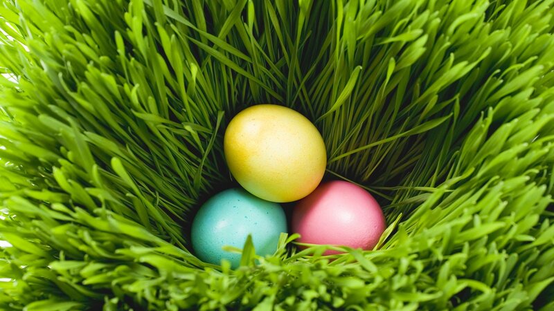 Colored Eggs in Grass — Green, Festive, Spring, Photograph, Yellow, Pink