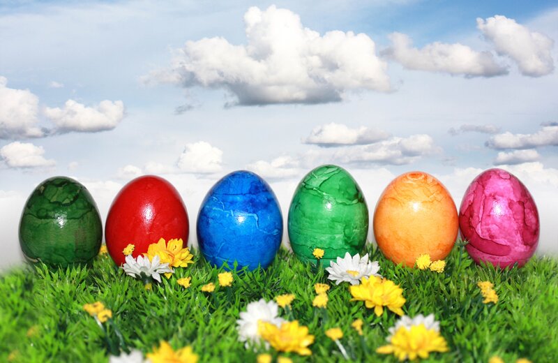 Colored Eggs in Grass — Green, Festive