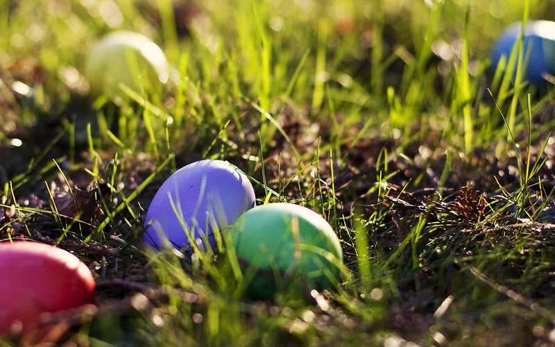 Colored Eggs in Grass — Green, Serene, Morning