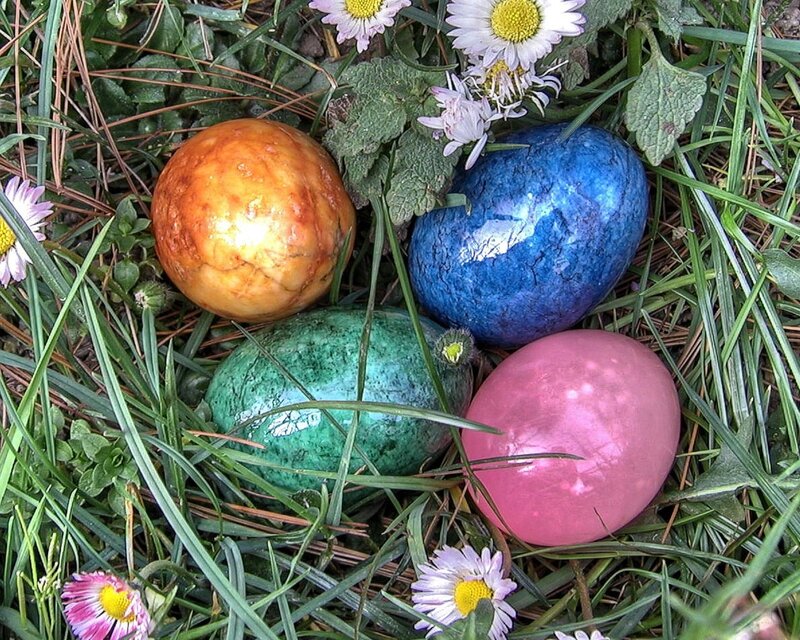 Colored Eggs in Grass