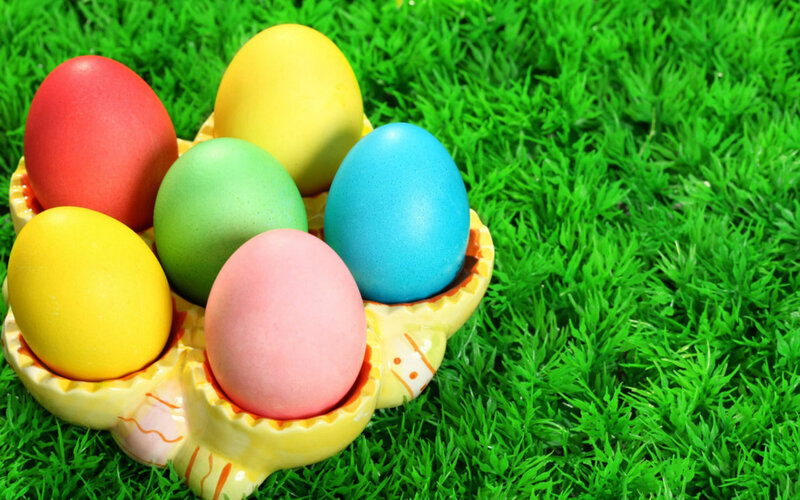 Colored Eggs in Holder