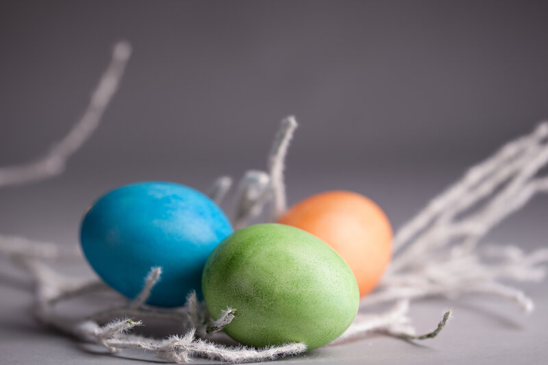 Colored Eggs in Nest — Blue, Calm