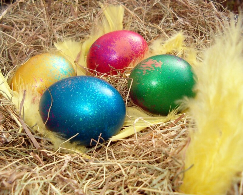 Colored Eggs in Nest — Blue