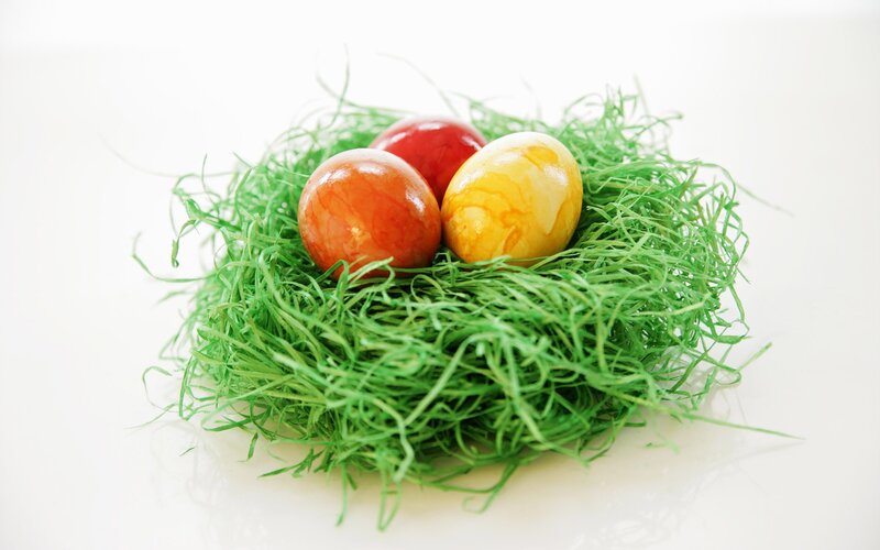 Colored Eggs in Nest — Green, Calm