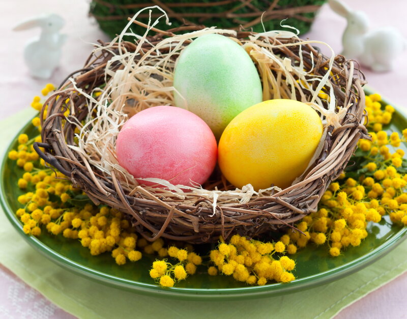 Colored Eggs in Nest — Green, Festive, Spring, Photograph