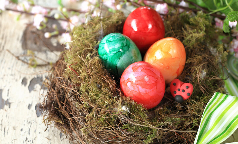 Colored Eggs in Nest — Green, Festive, Spring
