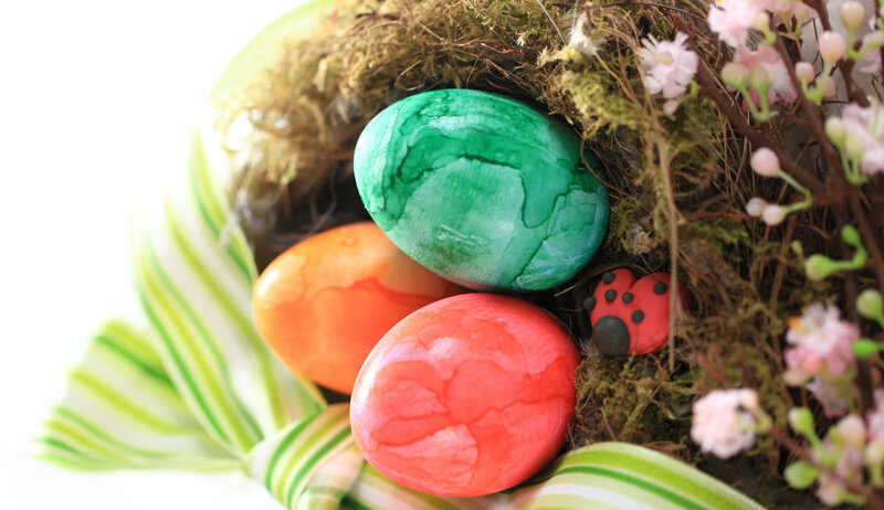 Colored Eggs in Nest — Green, Festive