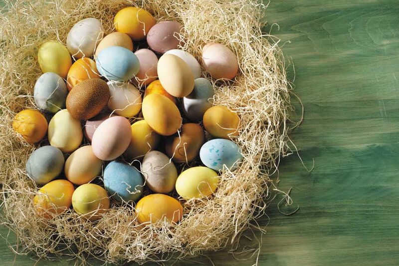 Colored Eggs in Nest — Green