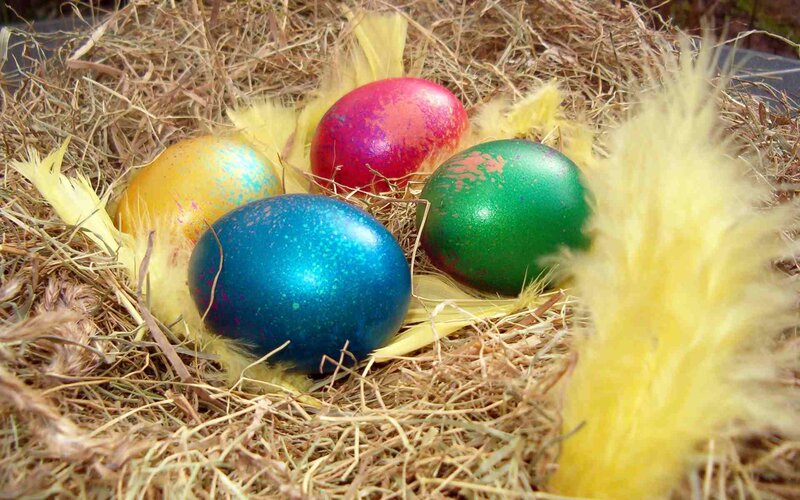 Colored Eggs in Nest — Yellow