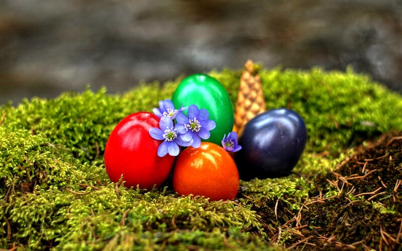 Colored Eggs on Moss