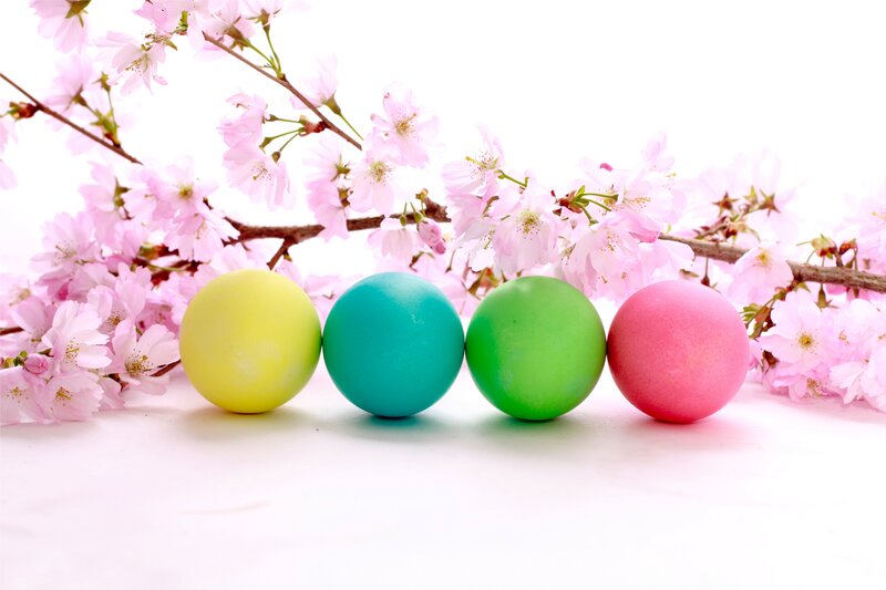 Colored Eggs with Cherry Blossoms — Yellow