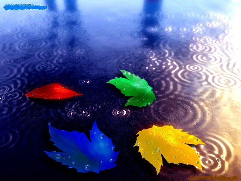Colored Leaves in Rain