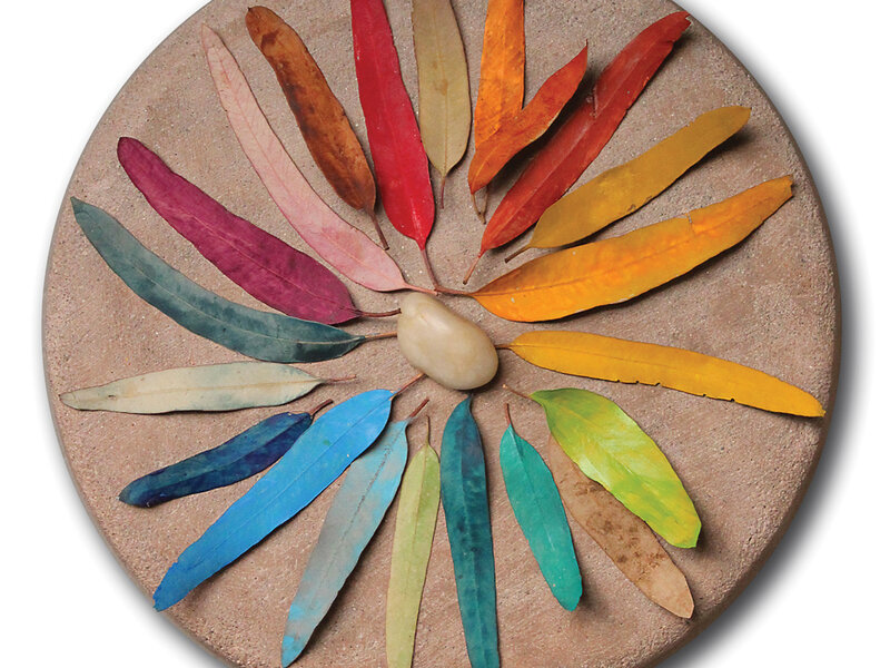 Colored Leaves on Stone