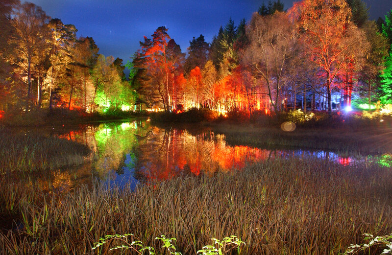 Colored Lights on Trees — Red