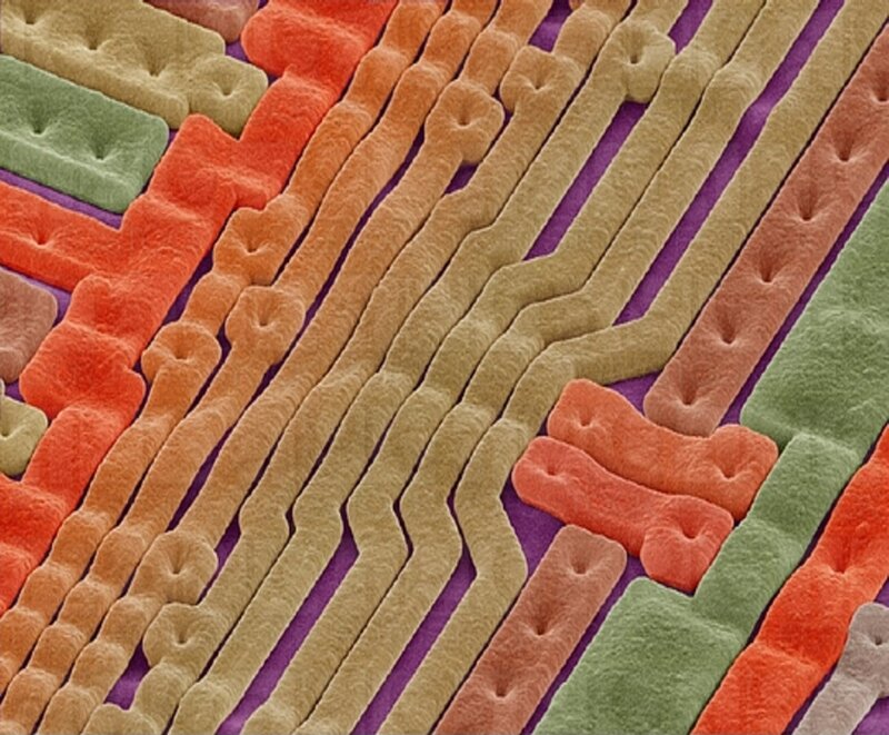 Colored nanowire array