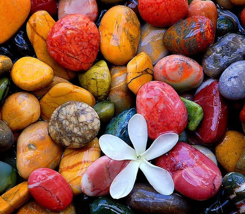 Colored Pebbles with Flower