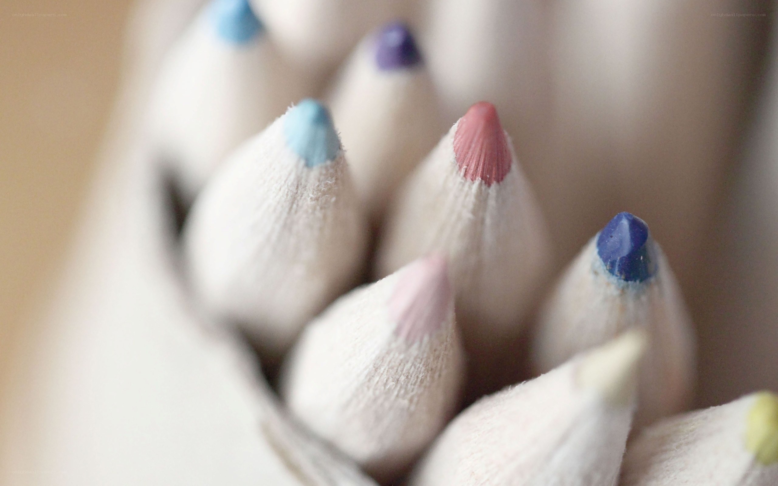 Colored pencils in a holder