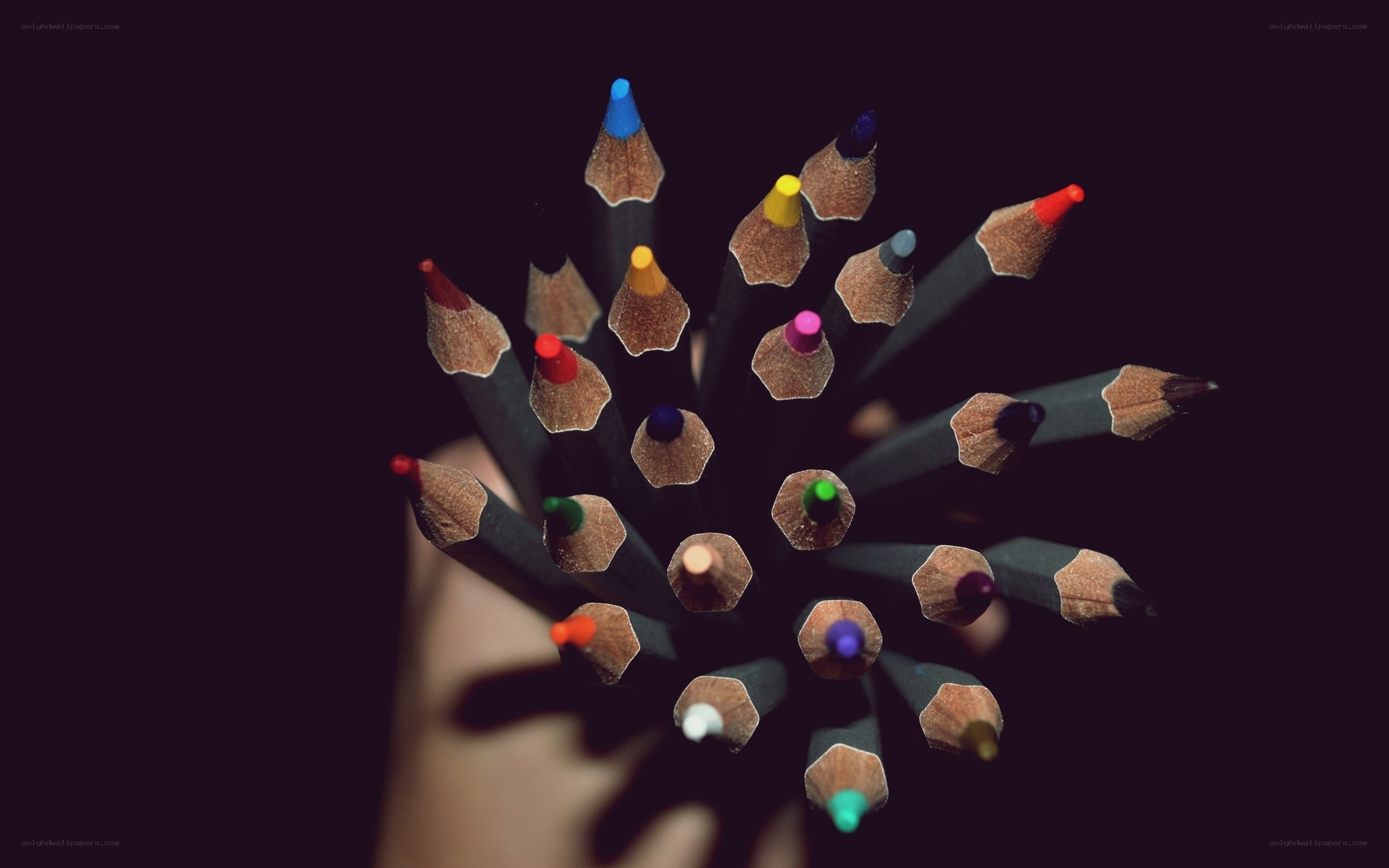colored pencils in hand